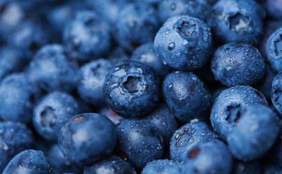 The best foods for boosting your immune system